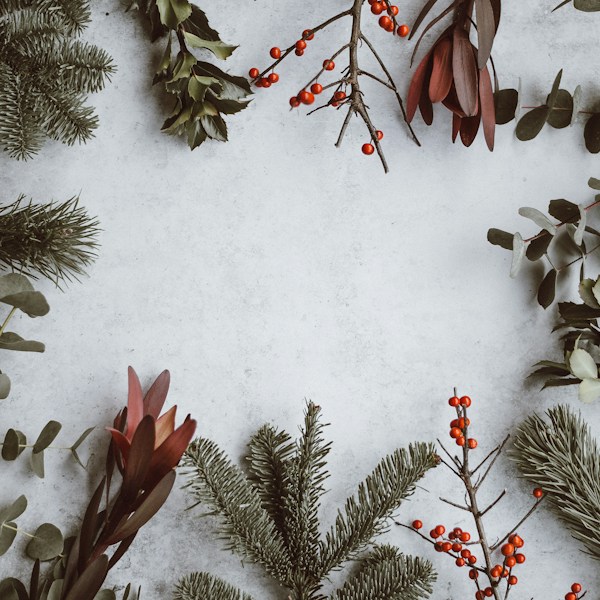 'Tis the Season' Card by Badger & Burke